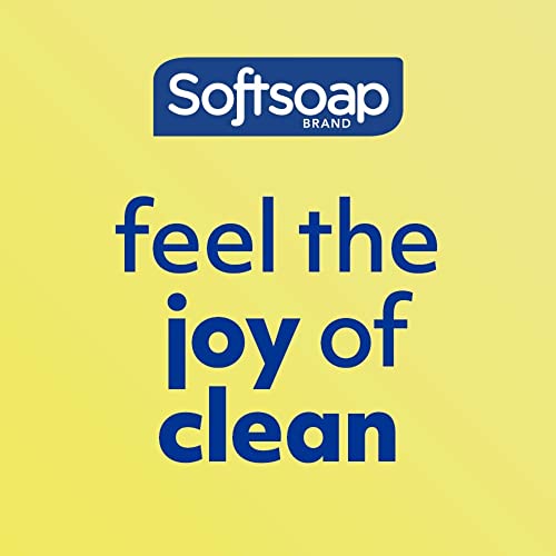 Softsoap Antibacterial Liquid Hand Soap | Fresh Citrus Scent