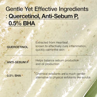 Thumbnail for ANUA Heartleaf Quercetinol Pore Deep Cleansing Foam