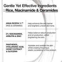 Thumbnail for ANUA RICE CERAMIDE 7 HYDRATING BARRIER SERUM, Brightening, Hydrating Serum for Face, Rice, Hyaluronic Acid, Niacinamide, Fragrance-free, Non comodogenic, Glass Skin, Korean Skin Care, 50ml/1.69fl.oz.