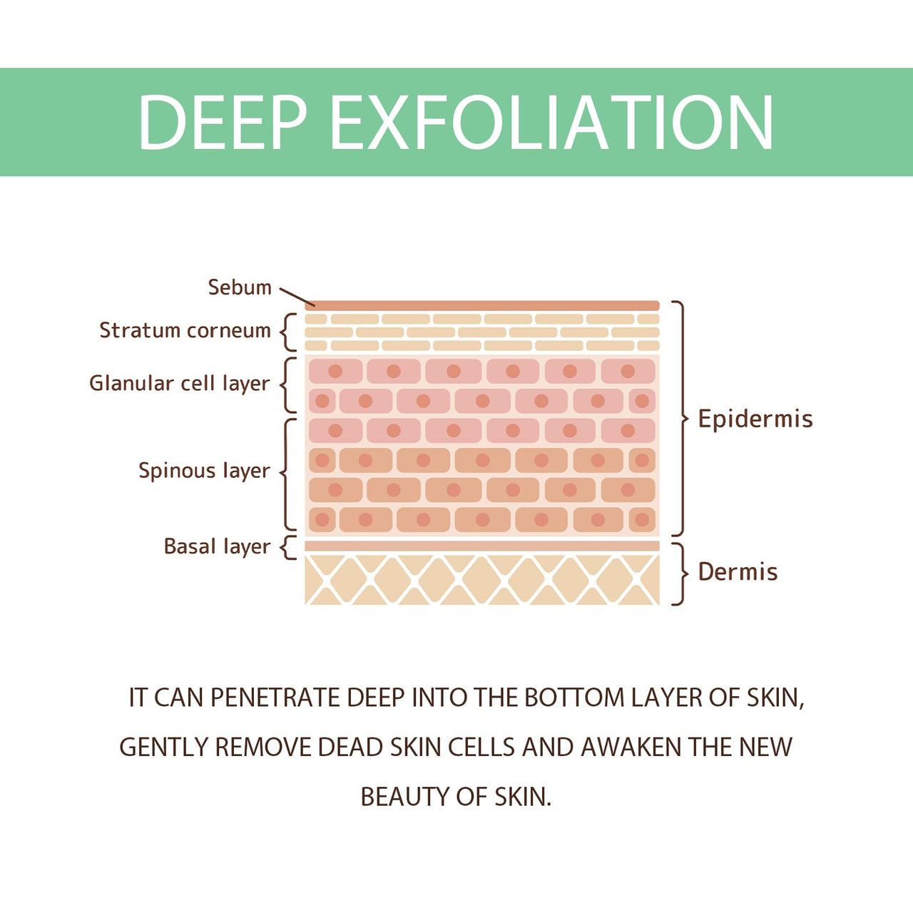 Gentle Exfoliating Facial Gel - Mint Green, with Chlorella & Hydrolyzed Collagen, Deep Cleansing, Pore Minimizer, Smoothing Scrub, 3.53 Oz