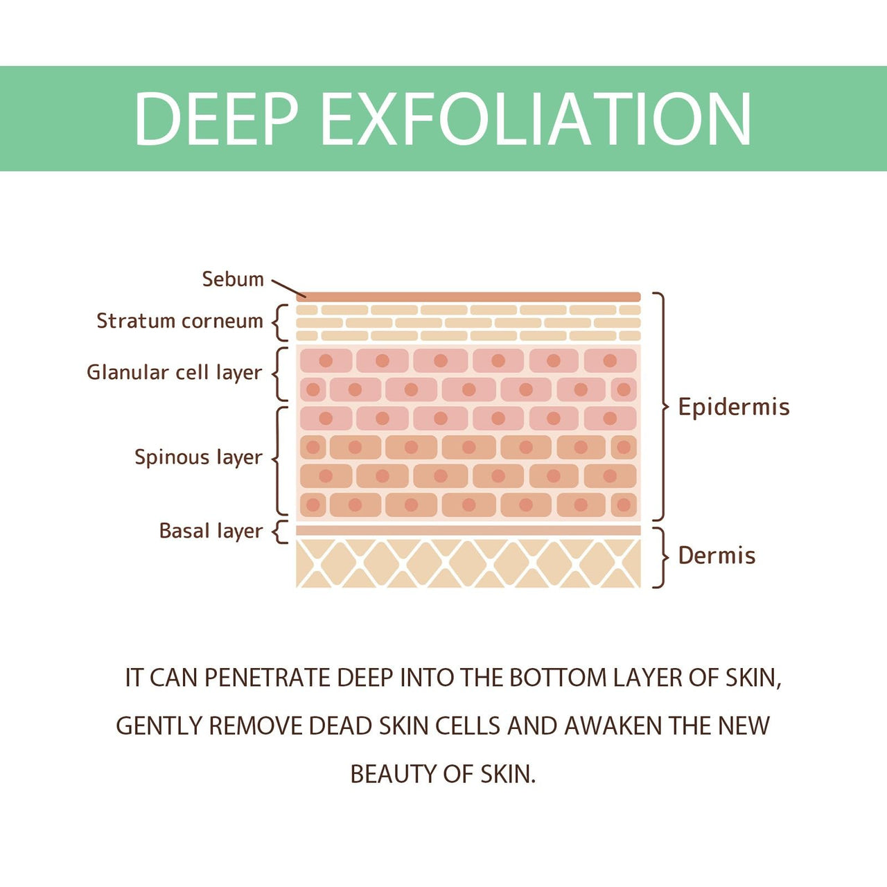 Purifying Exfoliating Gel
