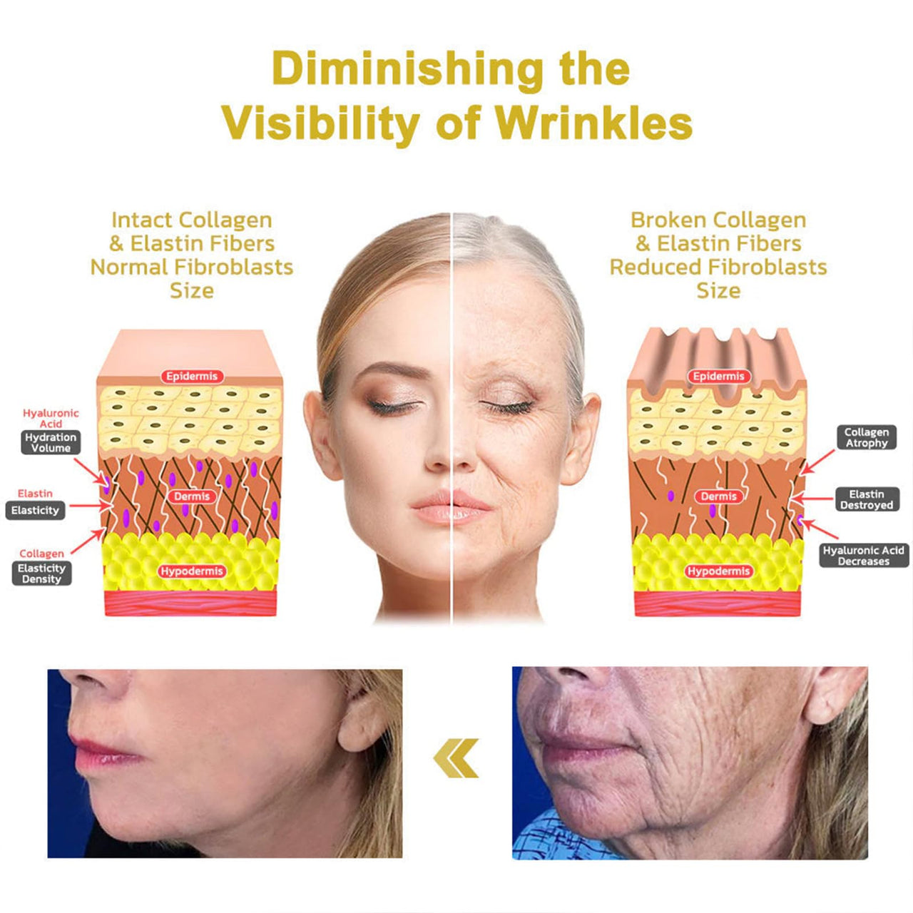 Firming & Renewal Cream | Advanced Skin Firming Cream