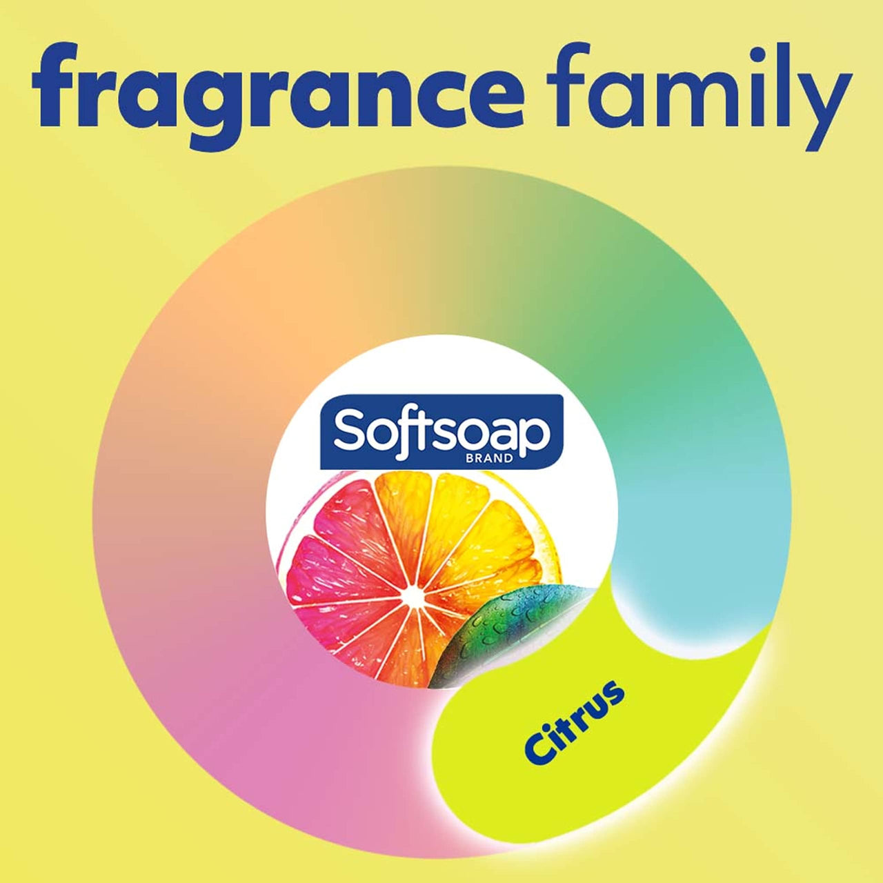 Softsoap Antibacterial Liquid Hand Soap | Fresh Citrus Scent