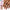 Beetles French Tips Press On Nails: gel nail wraps – french long – CrazyGels