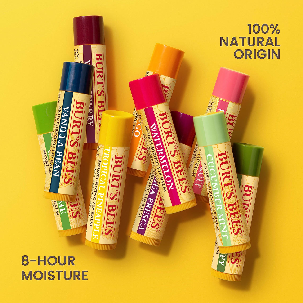 Burt's Bees Lip Balm