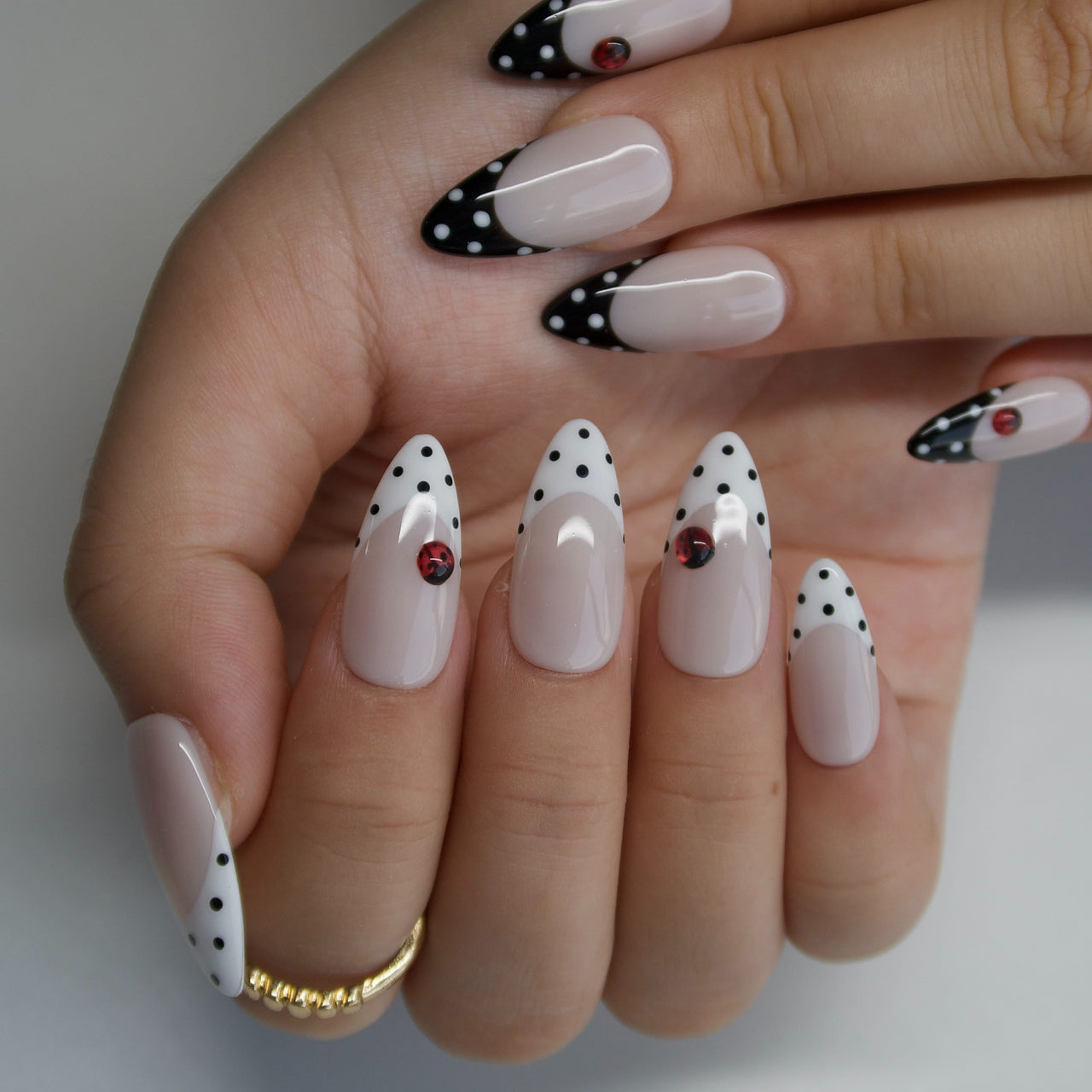 Ladybug