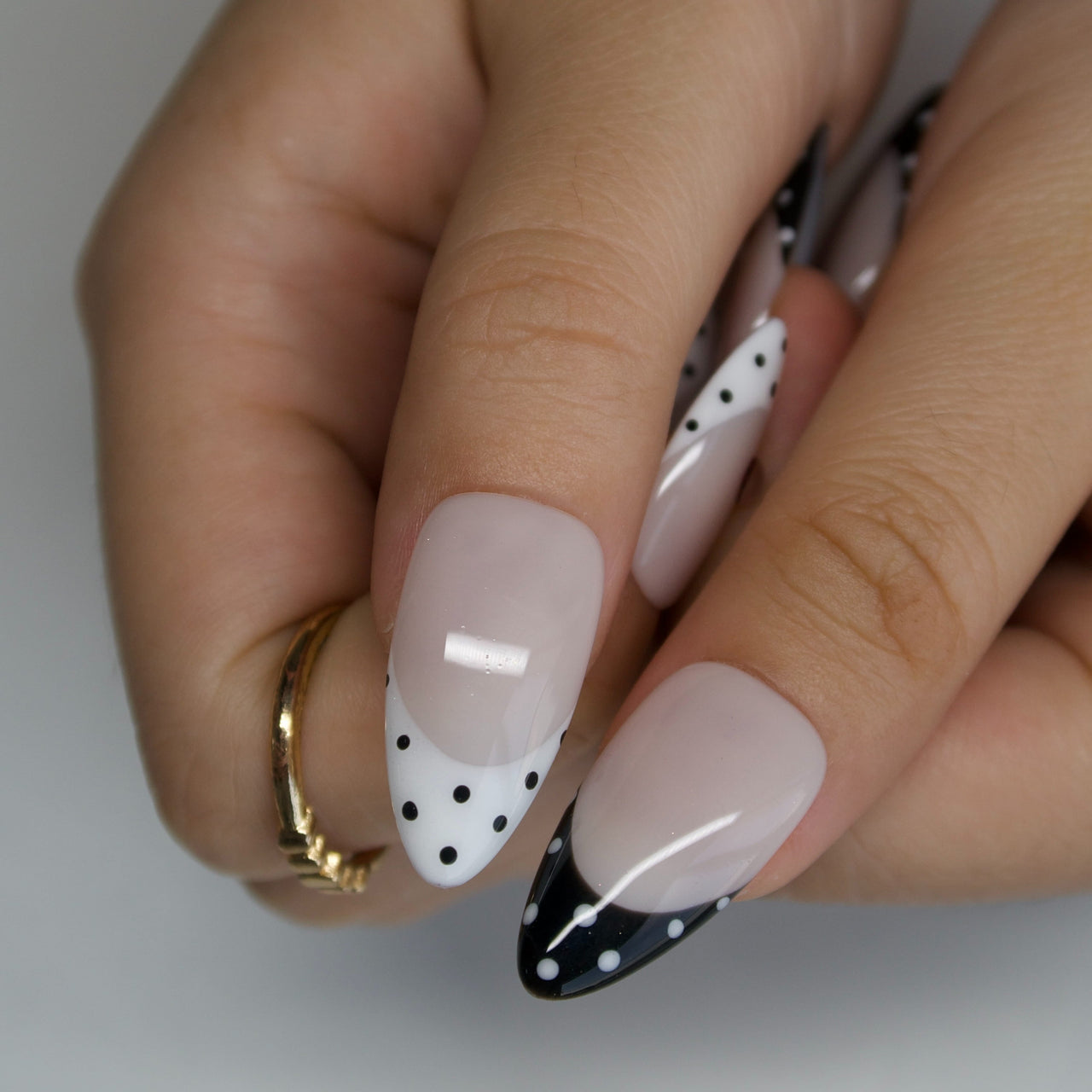 Ladybug