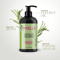 Thumbnail for Mielle Organics 12 oz Mielle Organics Rosemary Mint Strengthening Shampoo
